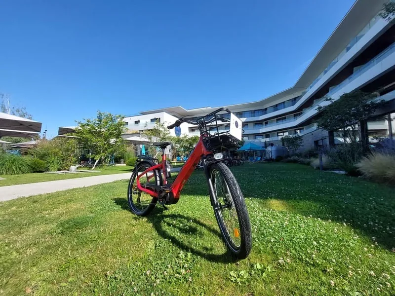 Annecy-le-Vieux: Electric and Classic Bike Rental