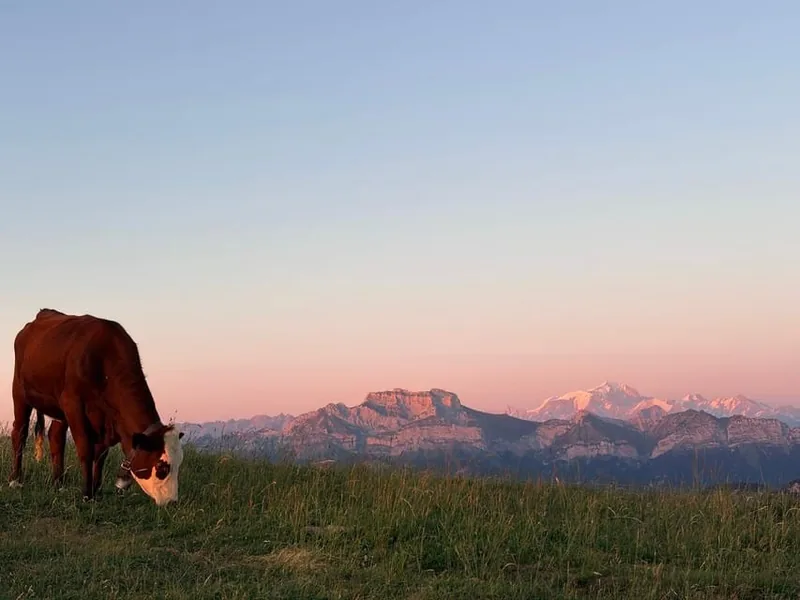 From Annecy: Semnoz Sunset Evening with an Aperitif